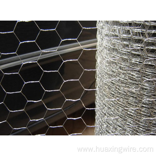 Hot dipped galvanized chicken mesh